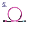 MPO MTP OM4 patch cord 100G data center